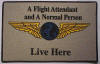 Flight Attendant Floor/Welcome Mat