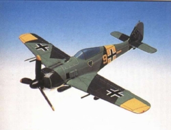 Focke-Wulf - FW-190WA - Elite Skywarrior - 1/24 Scale Mahogany Model - ESFN011W
