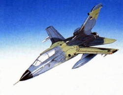 Panavia - Tornado - Elite Skywarrior - 1/48 Scale Mahogany Model - ESFN037W